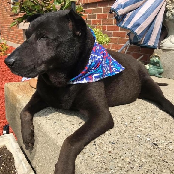 Meet your Posher, Lisa - Picture 3 of 11